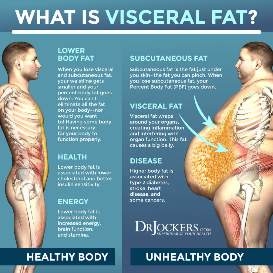 what is viseral fat?
